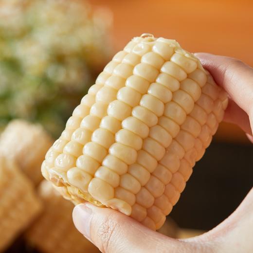 西双版纳牛奶水果玉米段|开袋即食，脆爽爆珠无渣，甜度直逼荔枝！|圣甜白珠 商品图1