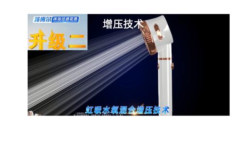 邦博尔三层过滤沐浴花洒升级装 商品图3