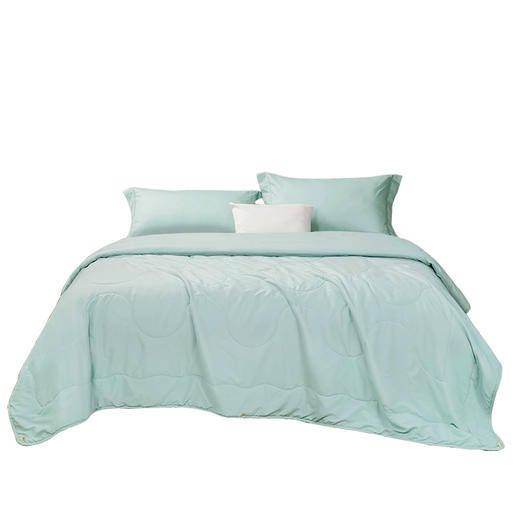 富安娜 凯蒂·轻颜水洗空调被203x229\370g 6916517874093 商品图0