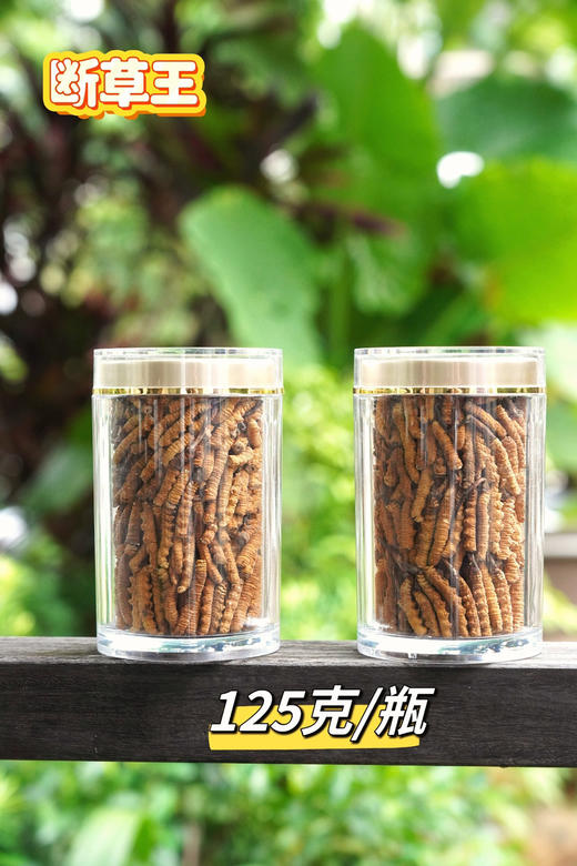 断草王 商品图3