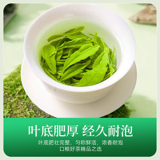 信阳绿茶毛尖茶叶高山云雾茶浓香型茶叶 自饮装 CM 商品图4