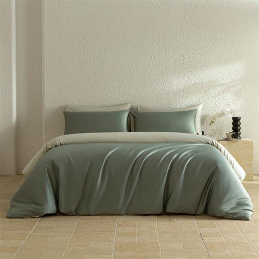 彼加曼 60S长绒全棉天丝四件套-星黛绿 200*230cm BGM-T2505 商品图4