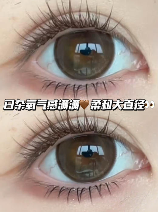 camellia 山茶棕环 ·半年抛型 商品图1