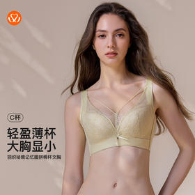 【6.9折限时优惠】【C杯单件】【秀黛】羽织秘境记忆圈拼棉杯文胸MS119031C【门店同款】