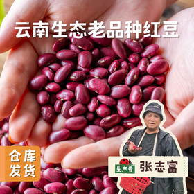 云南生态老品种红豆（花生豆）500g | 合作农友生产，产自云南富民，生产者：张志富 &【公平贸易农人定价】
