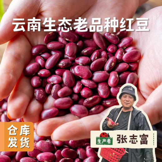 云南生态老品种红豆（花生豆）500g | 合作农友生产，产自云南富民，生产者：张志富 &【公平贸易农人定价】 商品图0