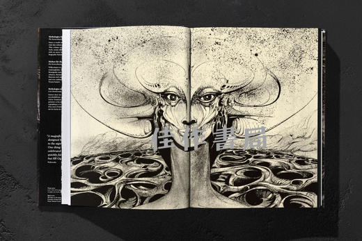 HR Giger / H·R·吉格尔  大开本原版画册/Taschen XXL 系列 商品图1
