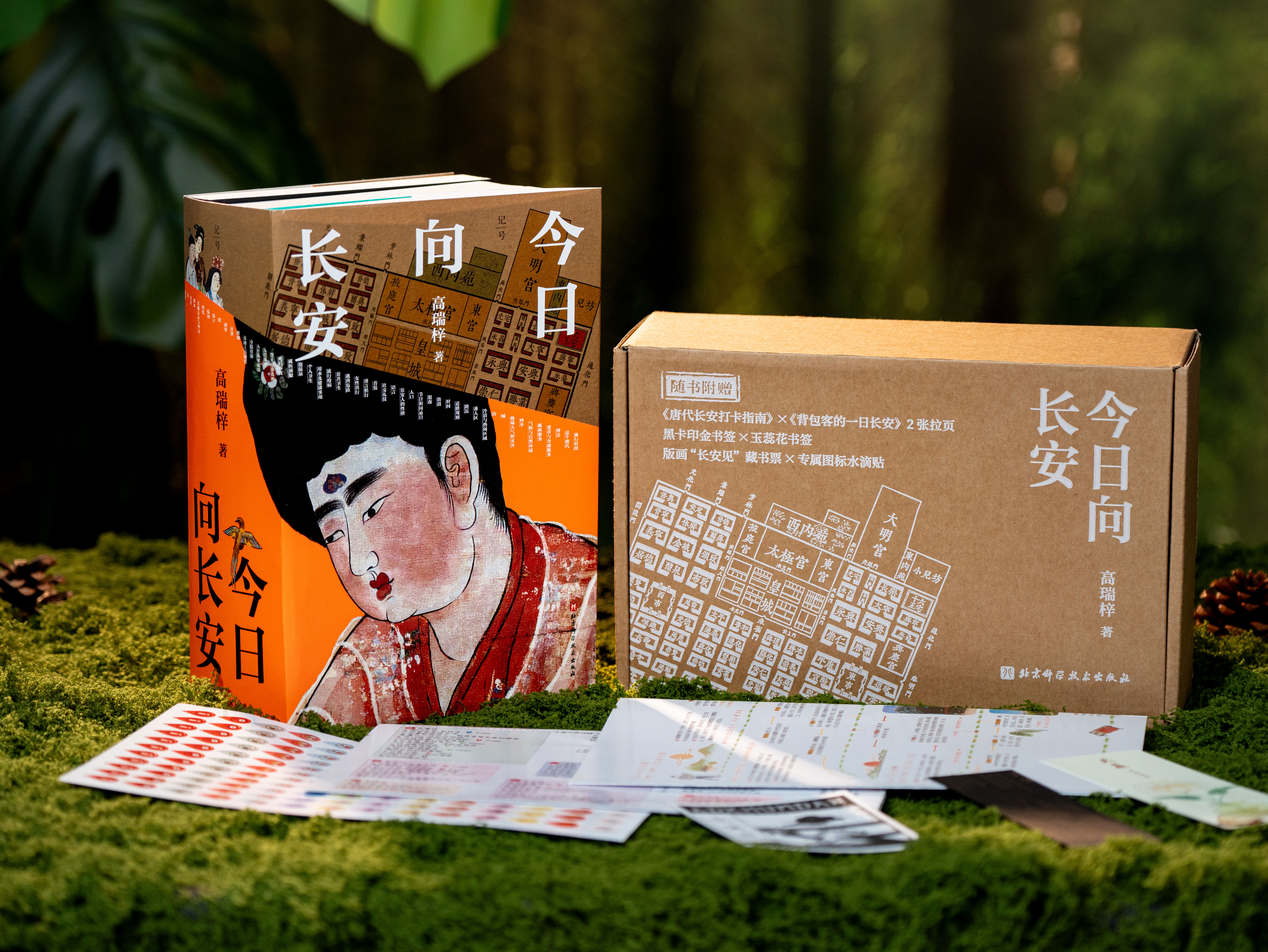 《今日向长安》（全3册） 梦回大唐，沉浸式“游”长安，一部“活的古代生活百科”，90余万字、600+文物影像及插图、2586条注释、1500余种参考文献，绘就大唐磅礴史诗。