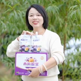 【新疆NFC西梅原浆】全面新升级，加量不加价！高膳食纤维， 大餐没负担！22颗鲜西梅鲜榨成一杯西梅原浆
