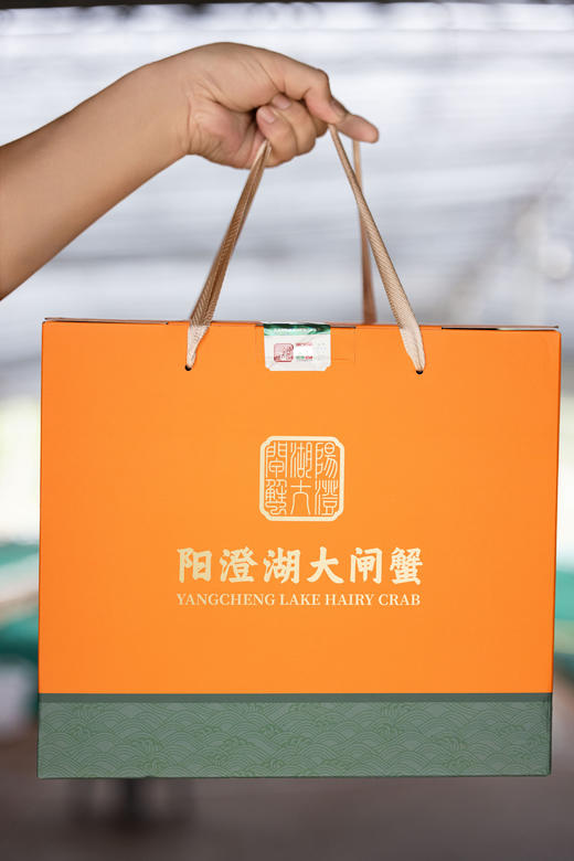 【公蟹正当到道！鲜！】70%淘汰率只选精品阳澄湖大闸蟹口感肥美黄肥膏白蟹黄鲜香99%的人没有吃过的正宗阳澄湖大闸蟹6/8/10母肥美大闸蟹组合任选! 商品图10