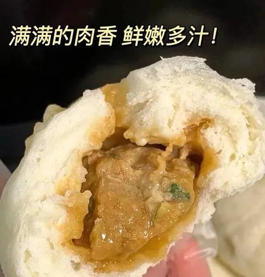 剡为面大包｜皮薄馅多，坚持手工造，好吃！【均赠送一袋小青菜包】 商品图4