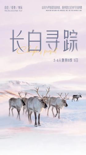 长白寻踪2-6人散拼B线