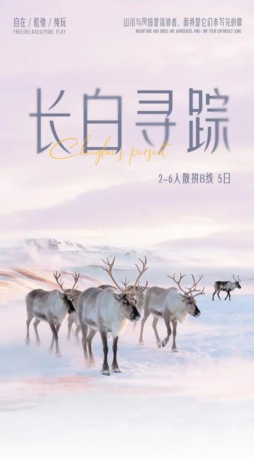 长白寻踪2-6人散拼B线 商品图0