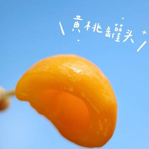 正宗【黄砀山黄桃罐头】个头饱满，完好保留黄桃的原始风味和口感，整颗黄桃对半切开，清脆爽滑的口感，从清洗到装罐，6小时锁鲜，严格杀菌，口感甜美、细腻、多汁、让人一口接一口。 商品图6