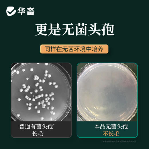 【积分兑换】华畜兽用注射头孢噻呋钠猪牛羊消炎药养殖场用 商品图2