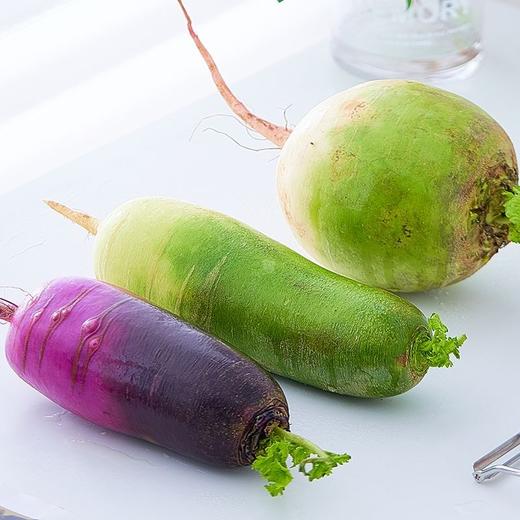 寿光  四色萝卜 商品图3