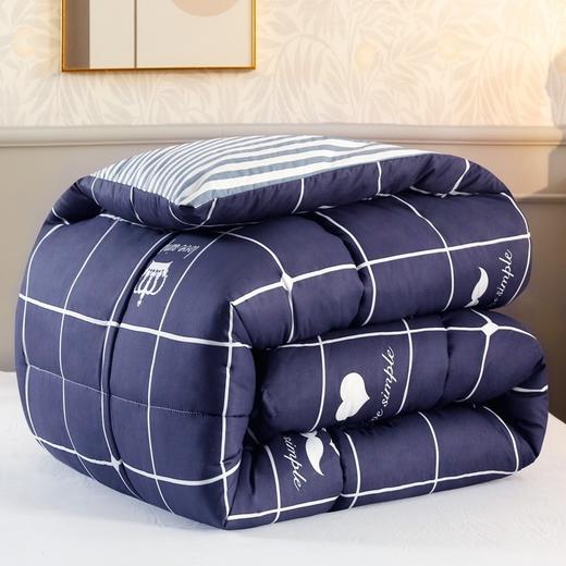 棉被被褥加厚冬天宿舍家用被子冬被单人双人夏凉被冬季化纤被 商品图2