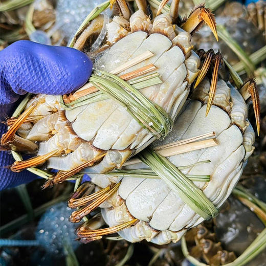 苏州精品大闸蟹（产地阳澄湖直发一蟹一扣一码） 商品图2