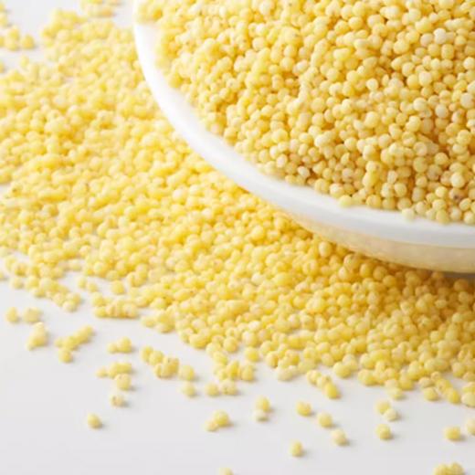 金龙鱼超级爱谷物东北小米2.5kg-YS 商品图1