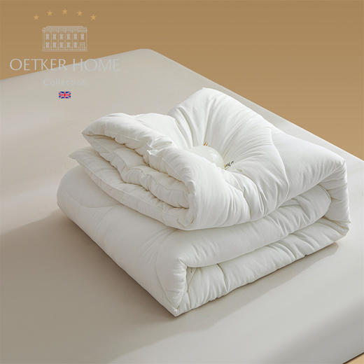 【英国百年品牌】欧特家·OETKER七星级酒店 德绒深睡被 金标德绒
0.9DTEX热聚科技纤柔被 商品图2