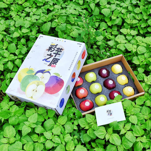 【高原彩色苹果礼盒】彩苹之愿 ～  来自彩云之南的甜蜜祝福 商品图5