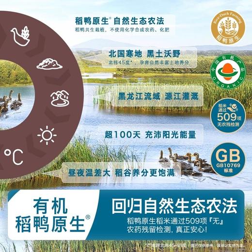 禾泱泱婴幼儿稻鸭原生米饼类合集32g/盒 商品图2