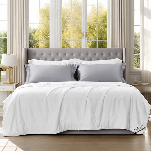 富安娜 舒妍抗菌蚕丝被203*229cm 6916517782749 商品图1