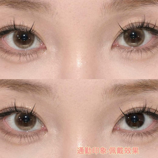 GINOMII印象棕(佩戴直径:14.2mm） 商品图2