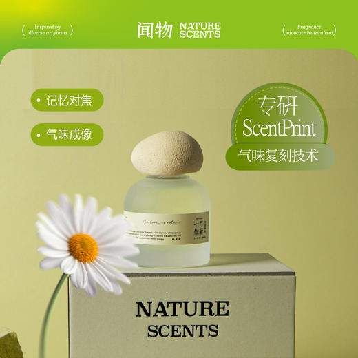 【夏日限定】闻物七月雏菊无火香氛还原花田场景植物精油扩香礼物 商品图1