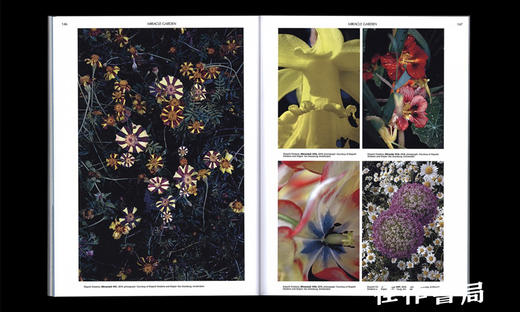 On the Necessity of Gardening: An ABC of Art  Botany and Cultivation / 论园艺的必要性：关于艺术、植物与栽培的入门指南 商品图4