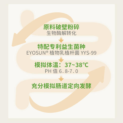 【杏林方记】安安四神饮 商品图3