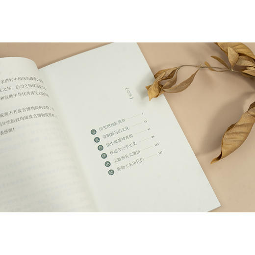 藏在故宫里的法律印迹（印玺与器物） 张剑虹著 法律出版社 商品图1