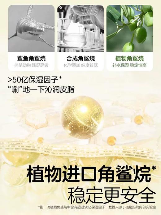 植物妈妈保湿山茶花面霜50g 商品图4