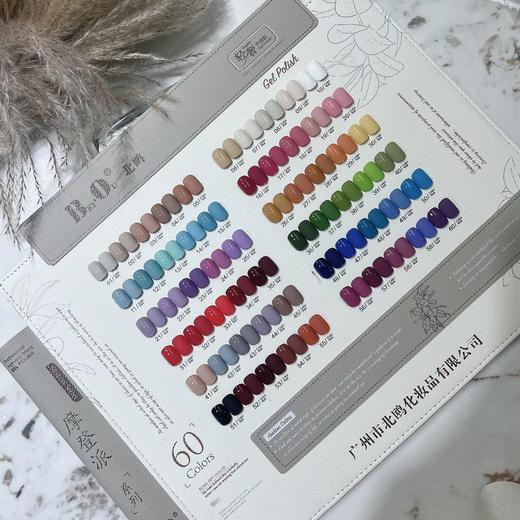 北鸥摩登派60色套装  北鸥梦幻.色彩薄沙60色套装 两款可选 商品图0