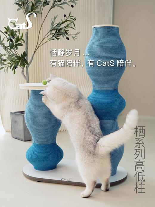 栖系列 彩色麻绳立式猫抓柱耐磨猫玩具小猫树 商品图3