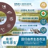 禾泱泱泡芙类合集 商品缩略图3