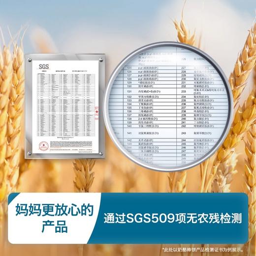禾泱泱棒饼类120g/罐 商品图4