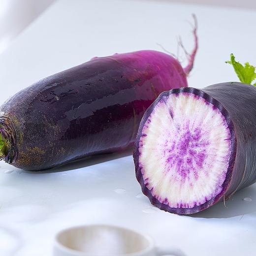 寿光  四色萝卜 商品图1