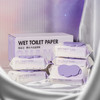 420抽超耐用!【弱酸护敏❗️母婴可用 | 加大加厚 | 可冲散污】泉日记湿厕纸家庭实惠装便携大包女性私处洁阴擦屁屁洁厕湿巾70抽。hb 商品缩略图0