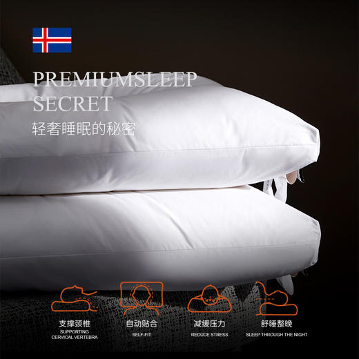 【加倍生活】ICE QUEEN 轻托护颈复合枕 商品图3