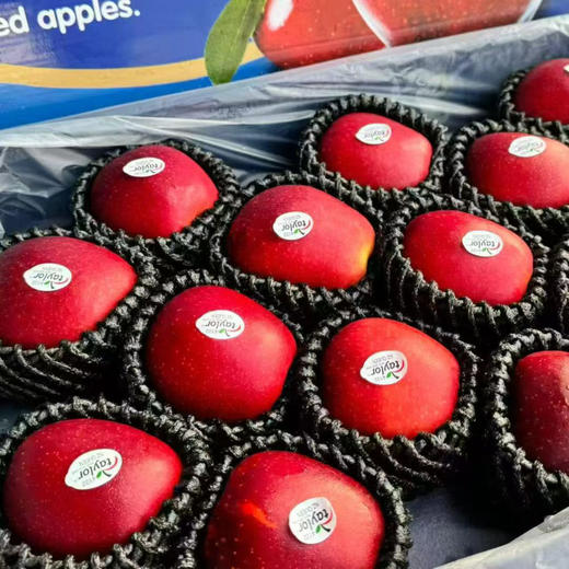 新西兰红玫瑰苹果 商品图5