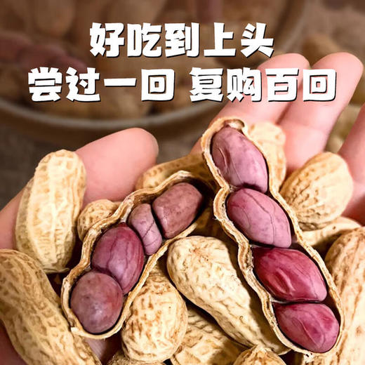 YP 真“香”推荐!天鲜萌2025年头茬龙岩湿烤花生 218g/袋 商品图2