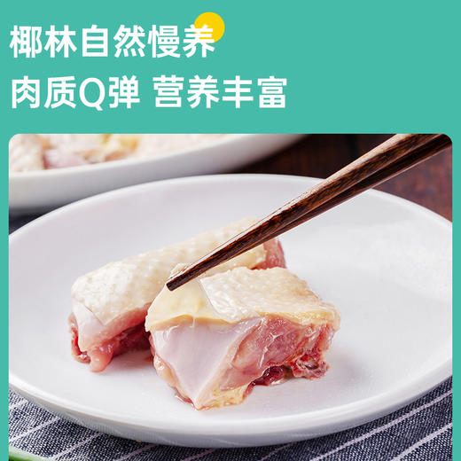 【文昌鸡切块公鸡】800g*2-3盒丨京东/顺丰包邮 商品图1