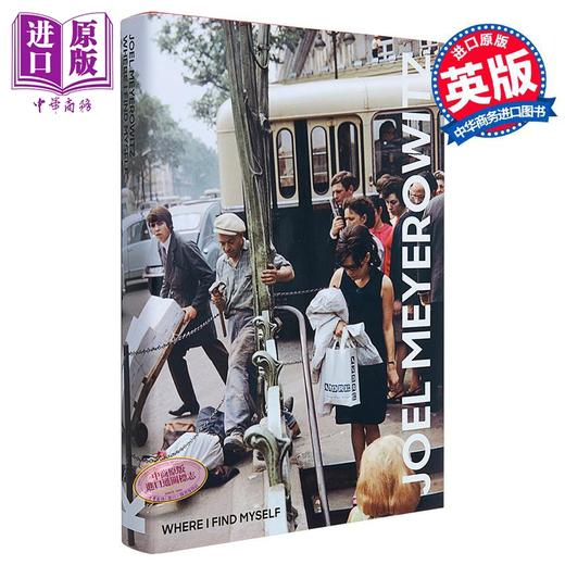【中商原版】乔尔·迈耶罗维茨：如果我发现自己 英文原版 Joel Meyerowitz 商品图10