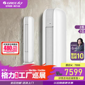 GREE格力 时光绘 2匹/3匹 新一级能效 变频冷暖  柜机空调  (文艺灰/经典米）