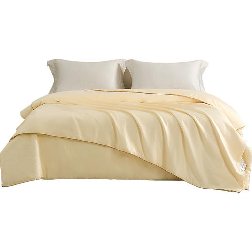 恒源祥 轻奢贡缎全棉蚕丝子母被璀璨星河200*230cm 6942394723124 商品图0