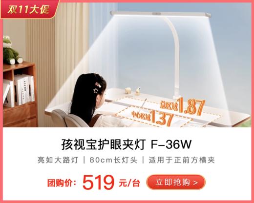 孩视宝长桌立式大路灯-F-36W 商品图0