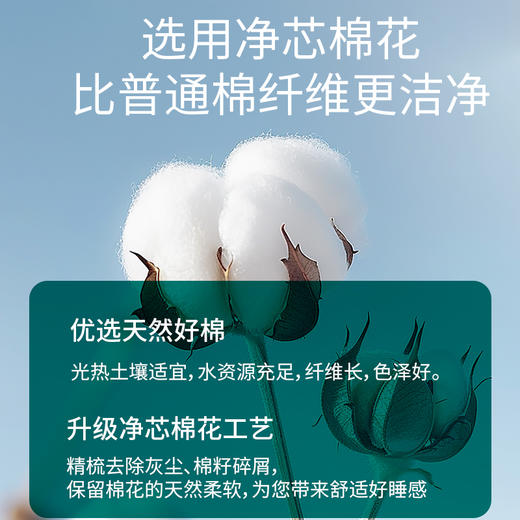 恒源祥 A类抗菌全棉棉花夏被柔域200*230cm 6942394722721 商品图3