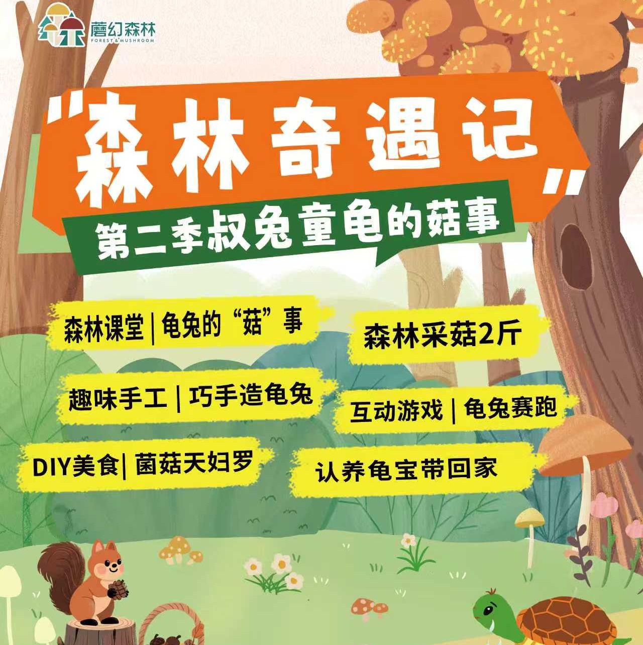 【2025.11】森林奇遇记第二季｜龟兔的"菇"事：巧手造龟兔、鲜采蘑菇、菌菇美食、龟兔赛跑，共谱秋日童话！