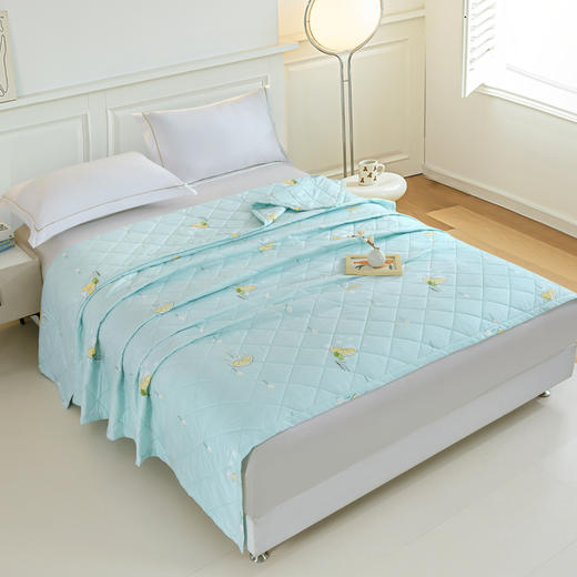 凤凰家纺 凤凰尚品凉感冰柔被150x200cm/700g FHJF-BZ2601 商品图2